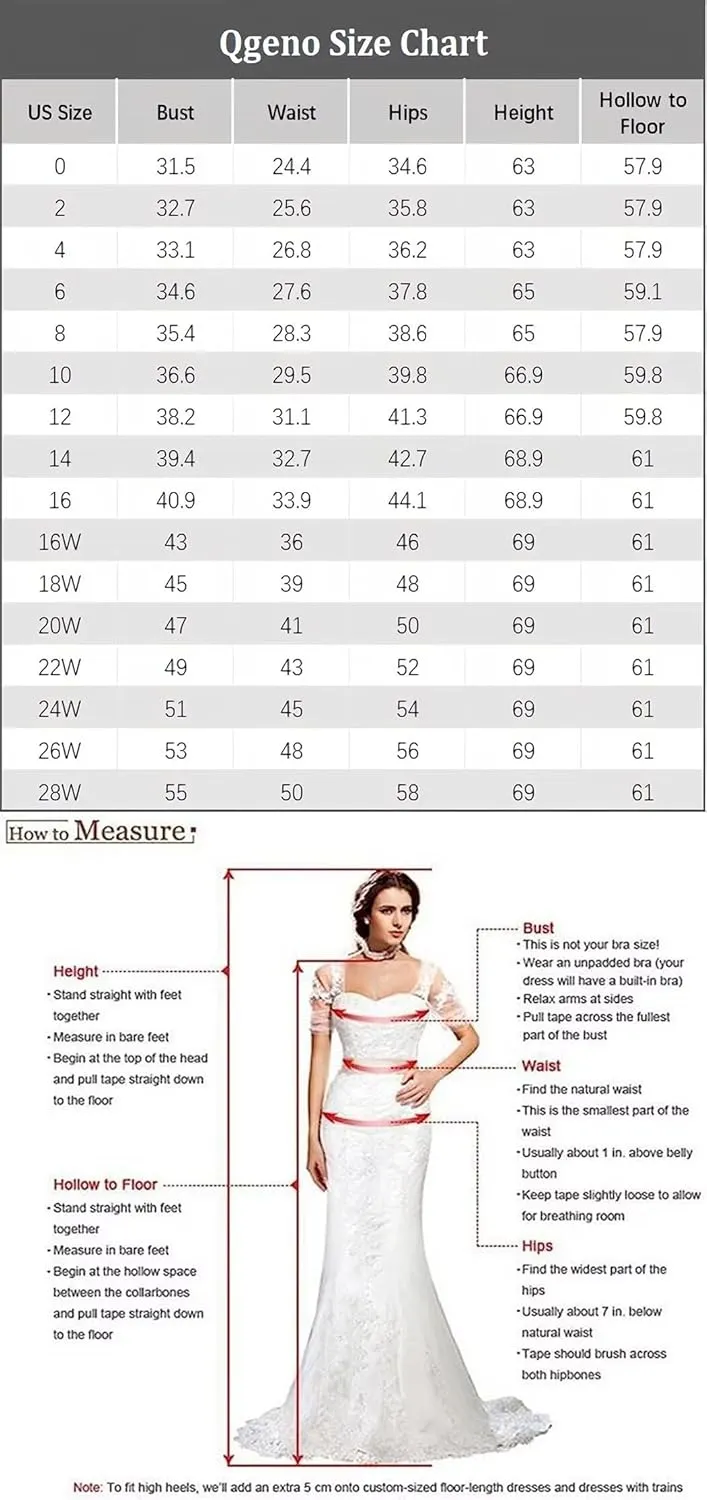 Velvet Dress for Women Burnout Floral Maxi Dress V Neck Puffy Sleeve Formal Evening Party Gowns